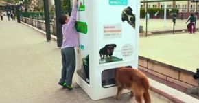 Totem troca garrafas por ração para animais de rua