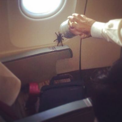 Imagens mostram como os comissários de bordo sofrem 