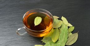Chá de louro: 9 receitas e seus benefícios para a saúde