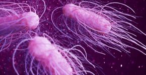 Foto: (iSTock)