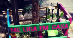 Foto: (Raquel)