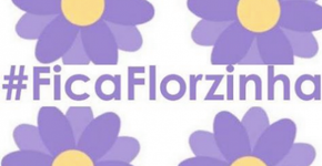 Queremos a florzinha para sempre, Facebook!