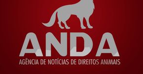 Foto: (Divulgação)