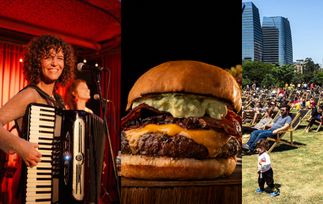Agenda event: O que fazer em São Paulo no fim de semana: 27 rolês com Festival da Lua, Diogo Nogueira de graça e Forró das Minas