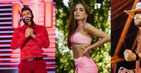Foto: (Reprodução/Instagram @gusttavolima / @zenetooficial / @anitta)