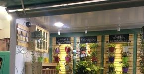 “Plant Truck” ensina como cultivar sua própria horta em SP