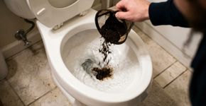 Colocar borra de café no vaso sanitário: entenda para que serve e por que muita gente recomenda