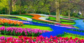 Foto: (JacobH/iStock)
