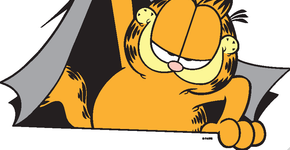 Garfield é uma gata ou um gato?