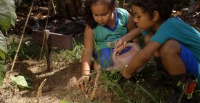 Série mostra iniciativas sociais transformadoras no Brasil