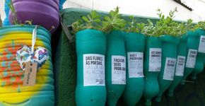 ‘Meninos do dedo verde’ dão novas cores à cidade de São Paulo