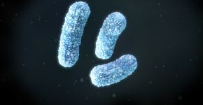 Foto: (gaetan stoffel/istock)