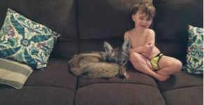 Mulher envia foto de coiote ao marido dizendo que adotou cãozinho