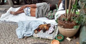 Morador de rua improvisa caminha e cobertor para um cãozinho