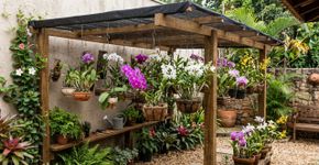 Quanto custa fazer um pequeno orquidário em casa em 2026?