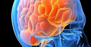 Cientistas criam método não invasivo para tratar doenças cerebrais