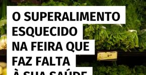 Conheça o vegetal poderoso que passa despercebido na feira