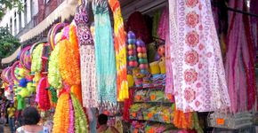 Foto: (Picasa 2.7)