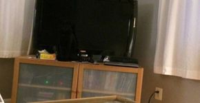 Encontre o gato: o desafio da vez que está conquistando a web