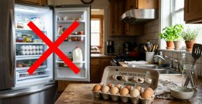 Guardar ovos na porta da geladeira parece prático e deixa tudo à mão, mas nos Estados Unidos a orientação é mantê-los na embalagem original dentro do refrigerador, onde a temperatura varia menos