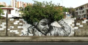 Fotos mostram arte urbana que interage com a natureza