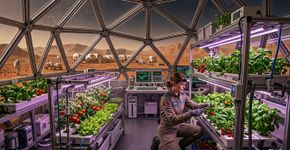 Prêmio de 75.000 dólares da NASA para quem desvendar o mistério que pode mudar o mundo: o segredo para morar em Marte sem depender da Terra