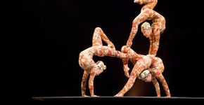 Transforme o sonho em realidade e trabalhe no Cirque du Soleil