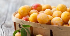 Foto: (aloha_17/istock)