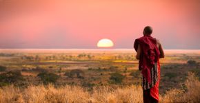 Foto: (jocrebbin/iStock)