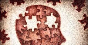 Centro de Psicologia Aplicada UNIP – Clínica Pompeia