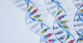 Biologia: Ácidos Nucléicos e Síntese Proteica