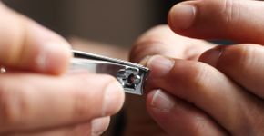 Foto: (tolgart/istock)