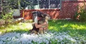 Cão com câncer vê a neve pela última vez
