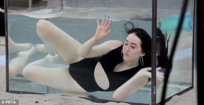 Noah Cyrus participa de campanha da PETA de boicote ao SeaWorld