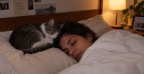 Seu gato dorme perto da sua cabeça? O cheiro pode explicar a escolha