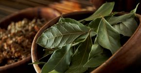 Foto: (iStock/ hdagli)