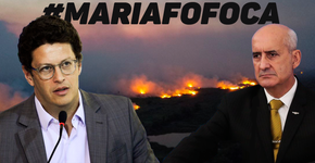 A suspensão do combate aos incêndios florestais e os conflitos de Salles dentro do governo
