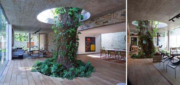 As casas unem o moderno com a natureza (Imagem: Report)