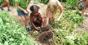 Por que é importante apresentar as crianças à jardinagem?