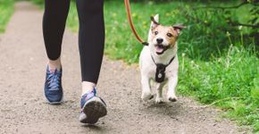 Foto: (iStock/alexei_tm)