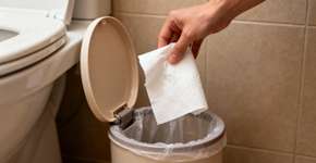 Eu entendi tarde demais por que o papel higiênico não deve ser jogado no vaso sanitário