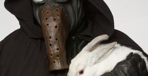 No Canadá, ‘vilões de Star Wars’ incentivam a adoção de animais