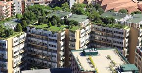 Telhado verde, uma ideia ecológica e sustentável