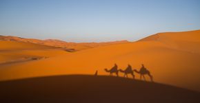 Sob as estrelas, no deserto do Saara