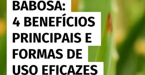 4 benefícios essenciais e formas seguras de uso da babosa