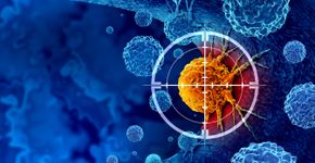 Foto: (iStock/wildpixel)