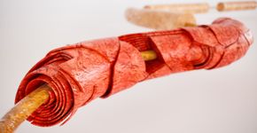 Foto: (iStock/CreVis2)