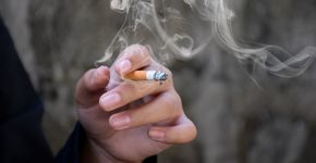 Foto: (iStock/Sophonnawit Inkaew)