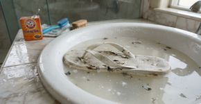Coloque o chinelo do banheiro em uma bacia e adicione 1 colher de bicarbonato: 1 hora de molho ajuda a soltar o mofo sem esfregar com força