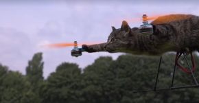 Dono transforma gato morto em drone